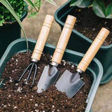 3-teiliges Mini-Gartenwerkzeug-Set – Ideal für Topfpflanzen & Bonsai