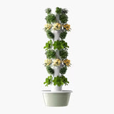 Runder Hydroponic Tower – Frische Ernte auf kleinstem Raum
