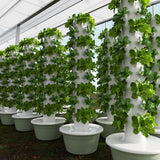Runder Hydroponic Tower – Frische Ernte auf kleinstem Raum